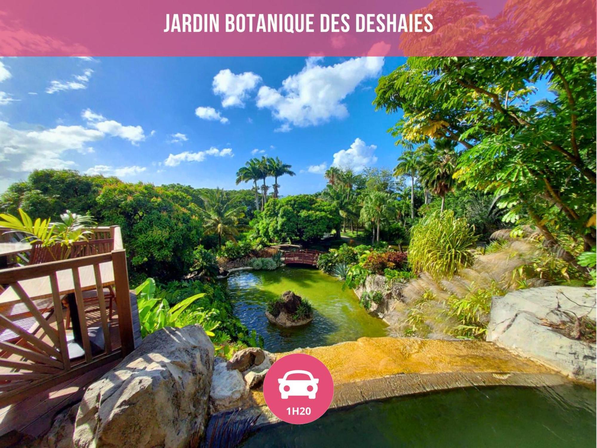 Le Sable Bleu - Evasion Tropicale A Sainte-Anne - Plage 5Min - Piscine - Parking - Logement Climatise - Vue Sur Les Palmiers - Parfait Pour Sejours En Famille Ou Entre Amis Zewnętrze zdjęcie