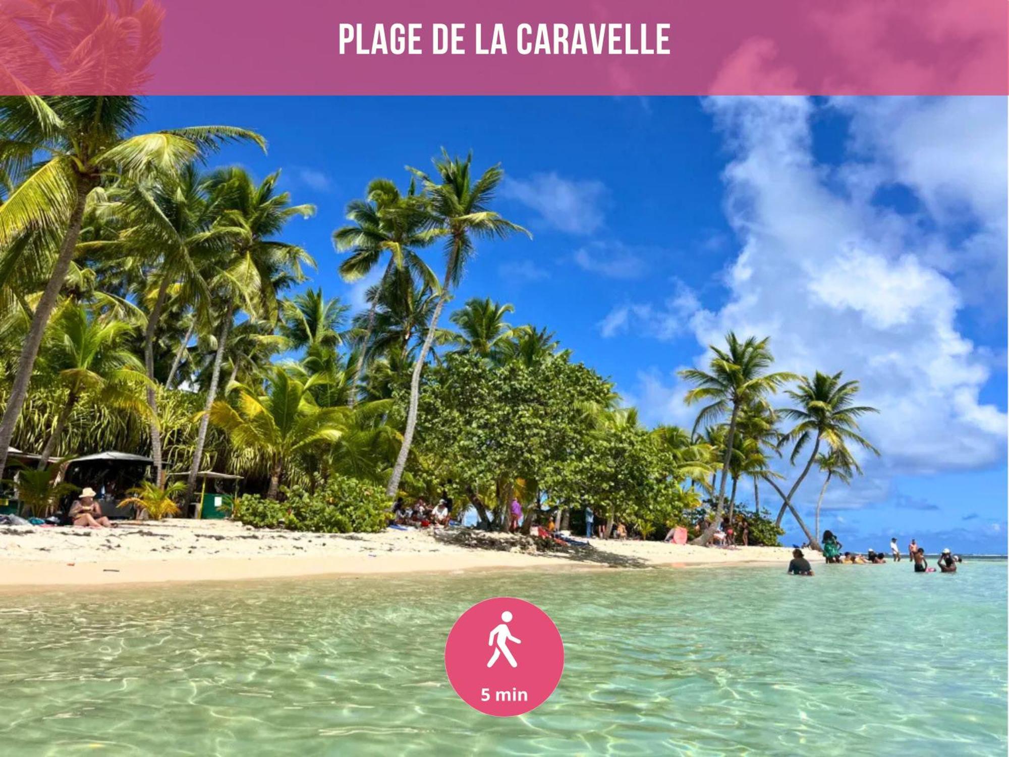 Le Sable Bleu - Evasion Tropicale A Sainte-Anne - Plage 5Min - Piscine - Parking - Logement Climatise - Vue Sur Les Palmiers - Parfait Pour Sejours En Famille Ou Entre Amis Zewnętrze zdjęcie